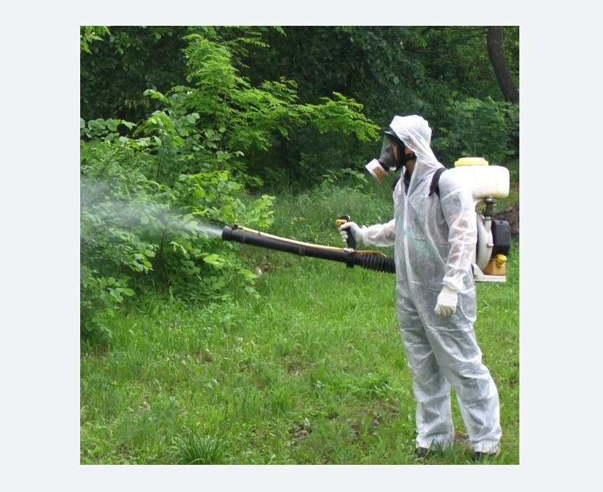 обработка территории от клещей в Белозерске