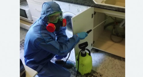 Уничтожение муравьев в квартире. Белозерск