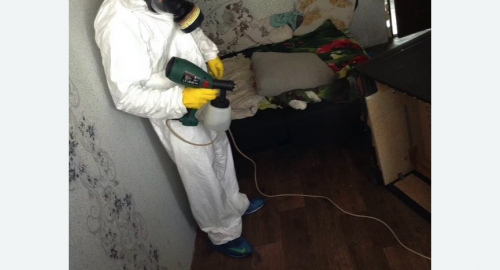 Обработка квартир от насекомых в Белозерске