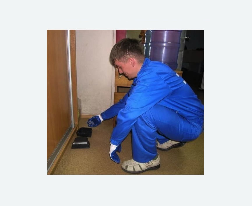 Дератизация крыс в Белозерске