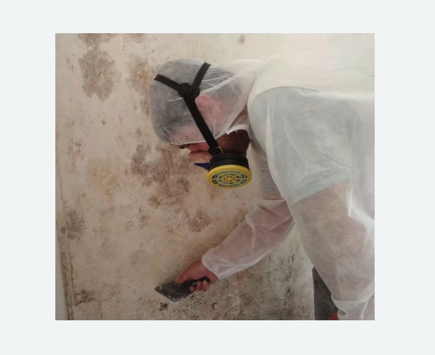 Обработка стен от плесени в Белозерске