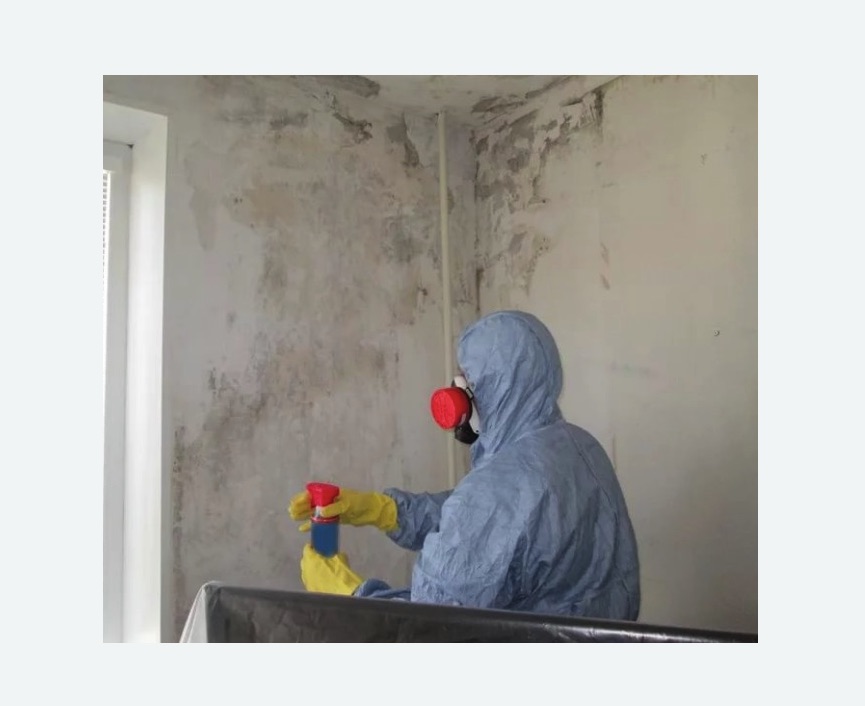 Удаление плесени в квартире в Белозерске