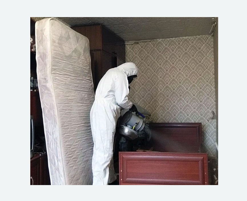 дезинфекция от клопов в Белозерске