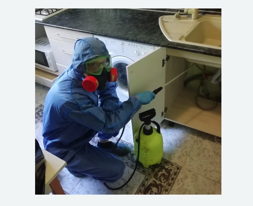 обработка от муравьев в квартире в Белозерске