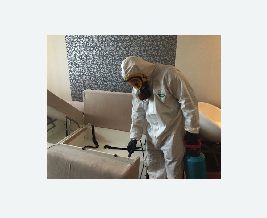 уничтожение клопов в квартире в Белозерске