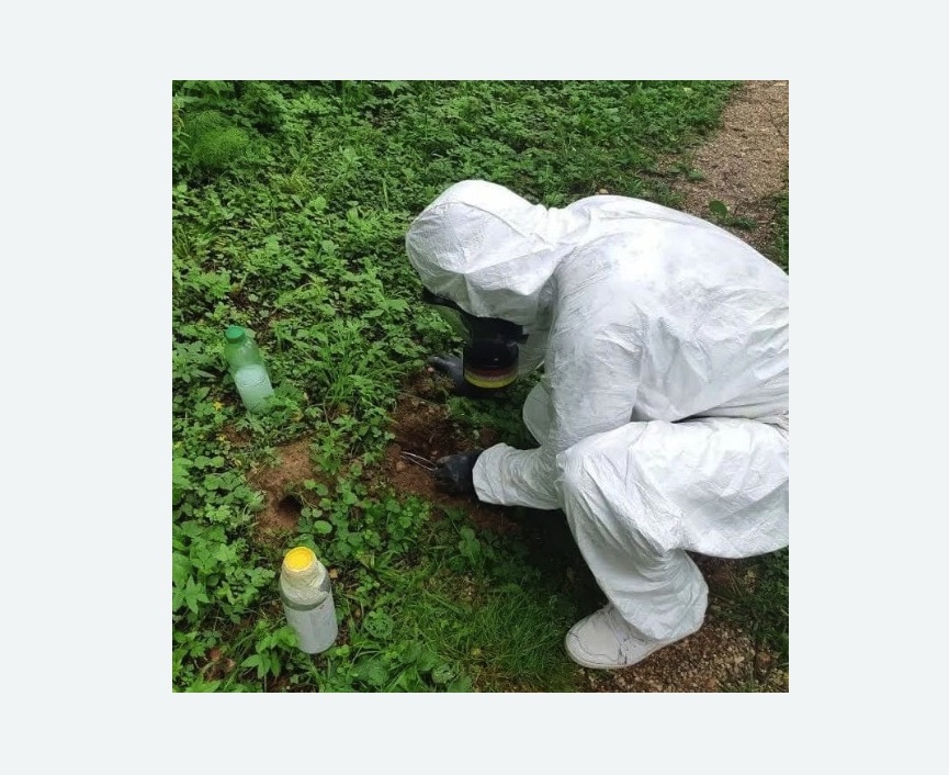 уничтожение кротов на участке в Белозерске