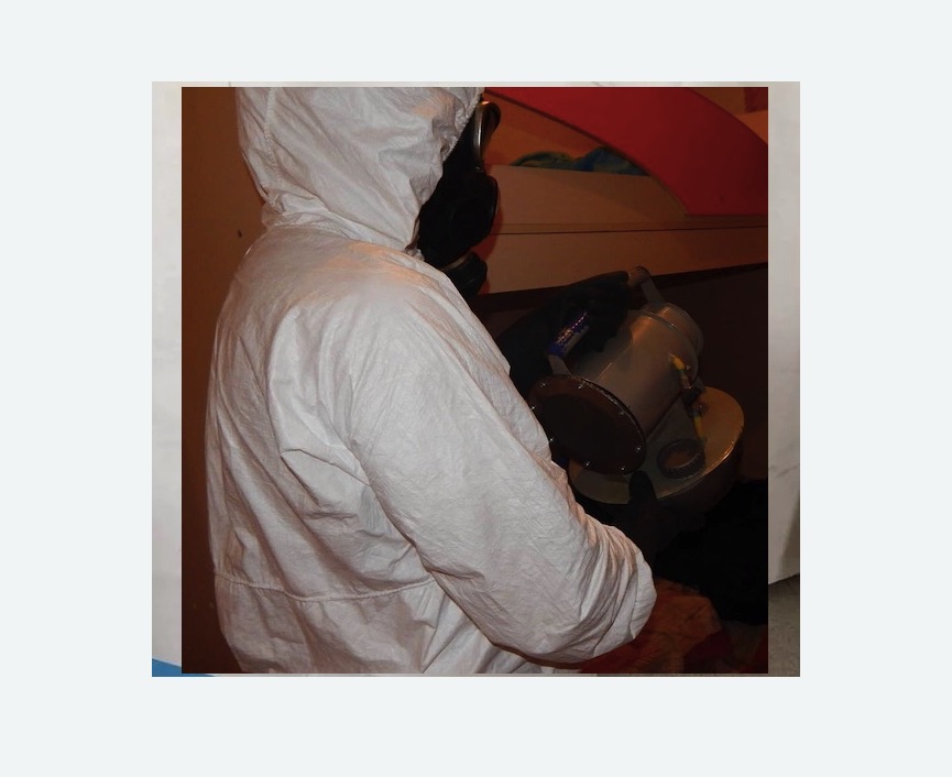 Дезинфекция от муравьев в Белозерске