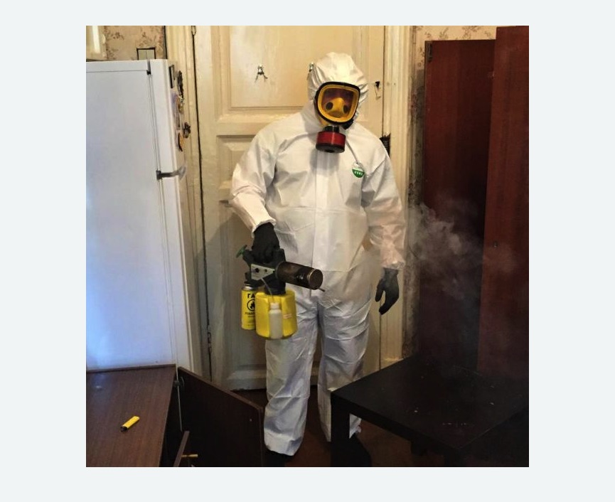 уничтожение муравьев в квартире в Белозерске